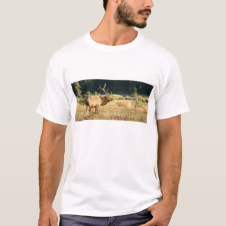 Bull Elk in Rocky Mountain Park T-Shirt