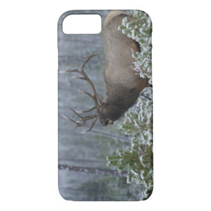 Bull Elk in snow calling, bugling, Yellowstone iPhone 8/7 Case