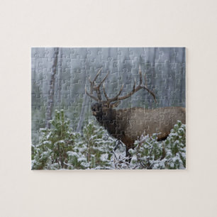 Bull Elk in snow calling, bugling, Yellowstone Jigsaw Puzzle
