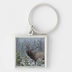 Bull Elk in snow calling, bugling, Yellowstone Key Ring