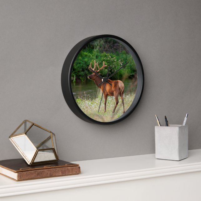 Bull Elk in the National Bison Range, Montana Clock (Office)