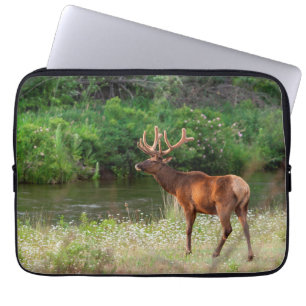 Bull Elk in the National Bison Range, Montana Laptop Sleeve