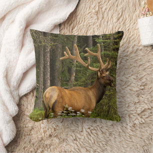 Bull Elk in Velvet, Canada Cushion