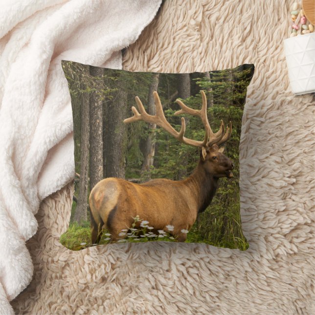 Bull Elk in Velvet, Canada Cushion (Blanket)