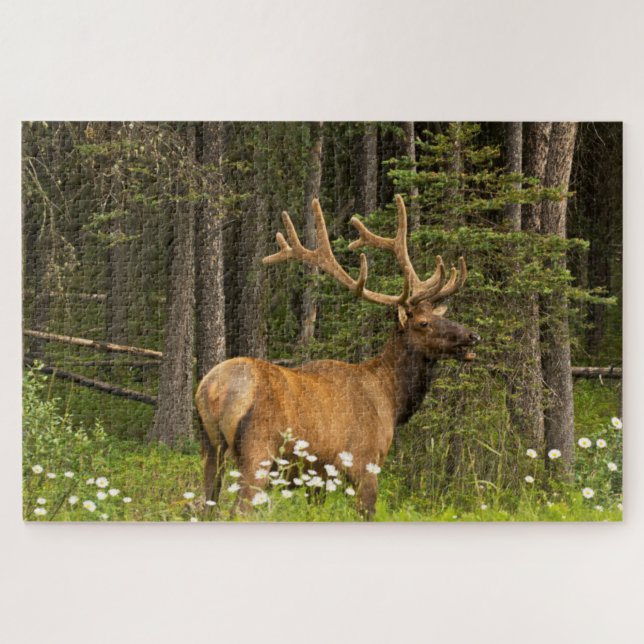 Bull Elk in Velvet, Canada Jigsaw Puzzle (Horizontal)