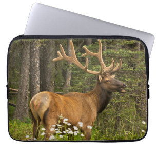 Bull elk in velvet, Canada Laptop Sleeve
