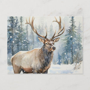 Bull Elk in Winter Snow Wildlife Postcard
