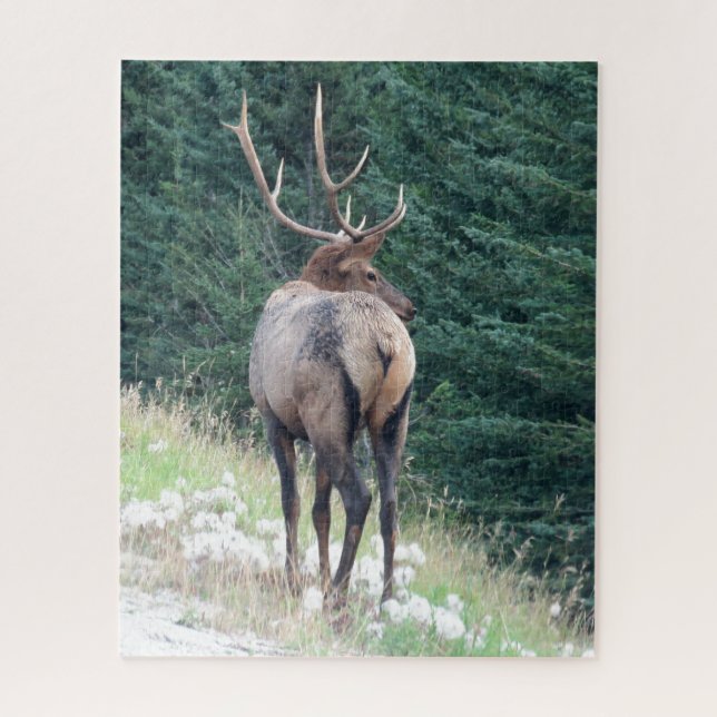 Bull Elk Jigsaw Puzzle (Vertical)