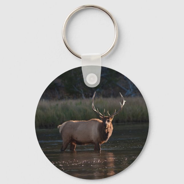 Bull Elk Key Ring (Front)