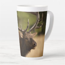 Bull Elk Latte Mug