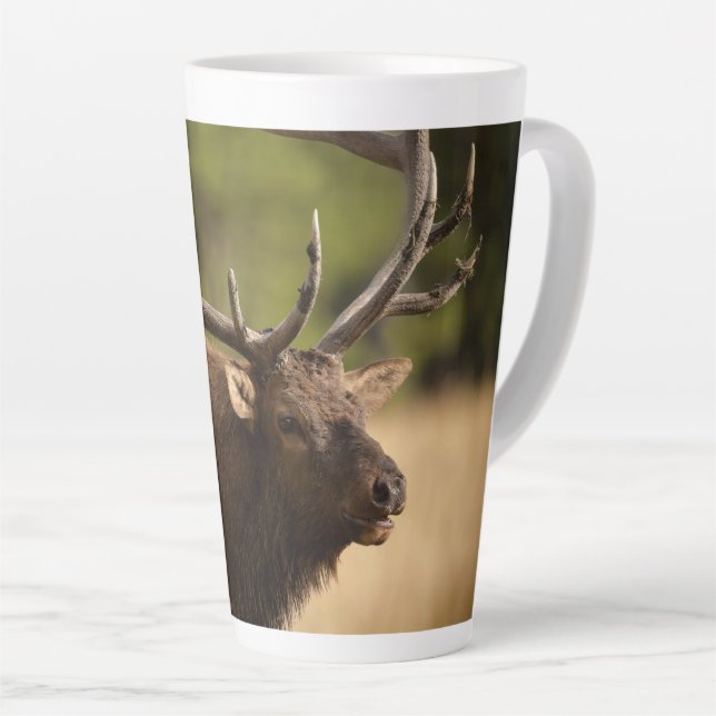 Bull Elk Latte Mug (Right Angle)