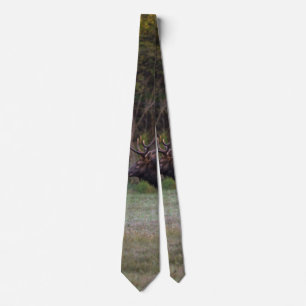 Bull Elk Morning Walk Neck Tie