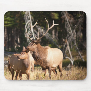 Bull Elk Mouse Pad