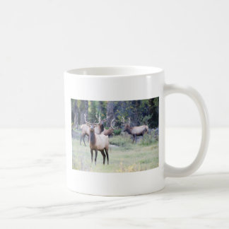 Bull Elk Mug