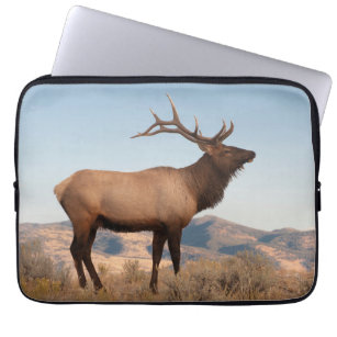Bull Elk Near Mammoth   Wyoming Laptop Sleeve