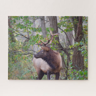 Bull Elk Puzzle