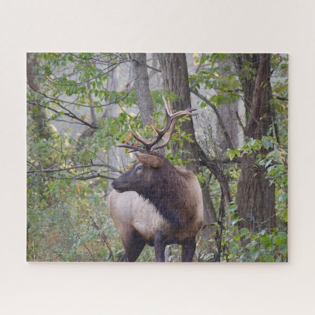 Bull Elk Puzzle (Horizontal)