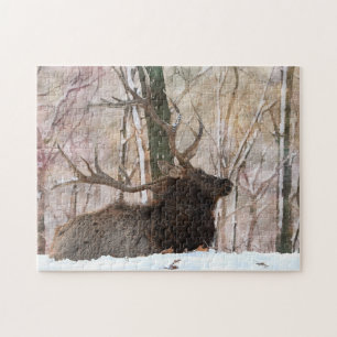 Bull Elk Resting In The Snow Jigsaw Puzzle