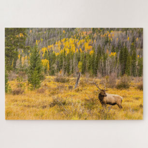 Bull Elk   Rocky Mountain National Park Colorado Jigsaw Puzzle