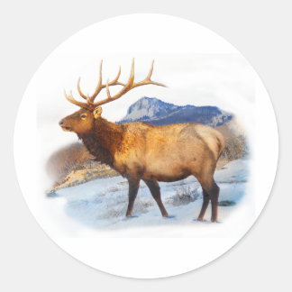 bull elk t idea.pdf classic round sticker