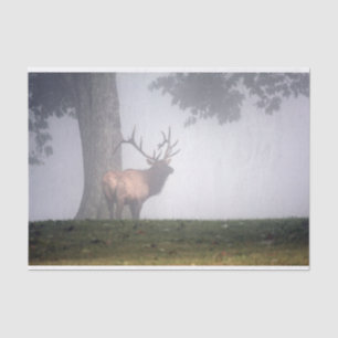 Bull Elk Tissue Paper