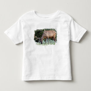 Bull Elk with antlers in velvet grazing Toddler T-Shirt