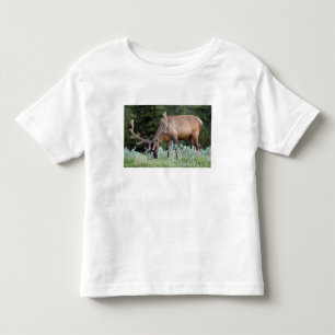 Bull Elk with antlers in velvet grazing Toddler T-Shirt