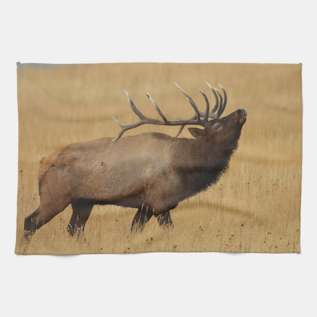 Bull Elk with Head Back Tea Towel (Horizontal)
