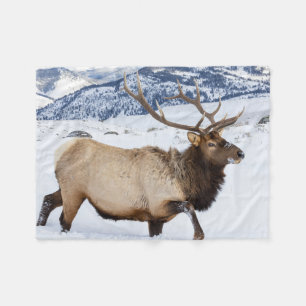 Bull Elk Wyoming Fleece Blanket