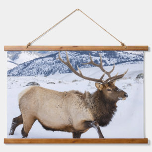 Bull Elk Wyoming Hanging Tapestry