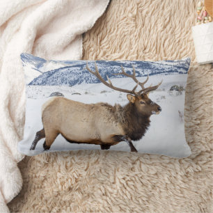 Bull Elk Wyoming Lumbar Cushion