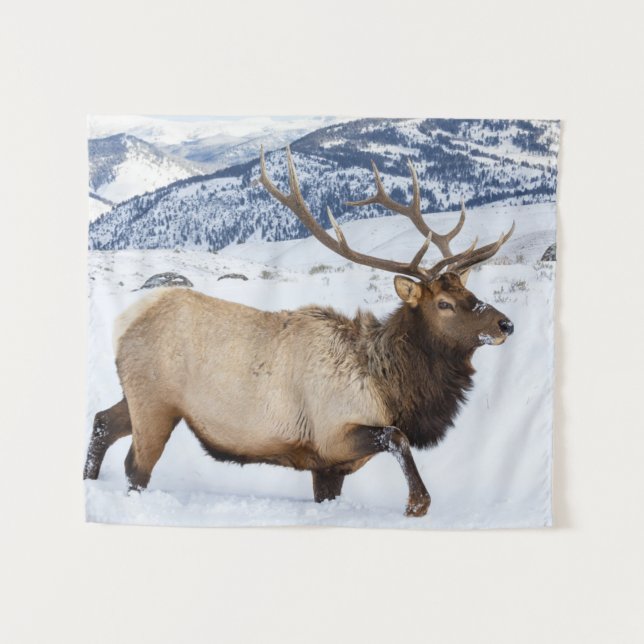 Bull Elk | Wyoming Tapestry (Front (Horizontal))