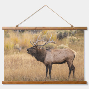 Bull Elk   Yellowstone National Park Hanging Tapestry