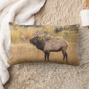 Bull Elk Yellowstone National Park Lumbar Cushion