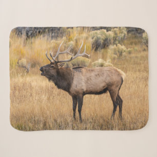 Bull Elk Yellowstone National Park Sherpa Blanket