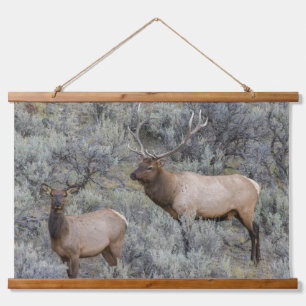 Bull Elk Yellowstone National Park, Wyoming Hanging Tapestry