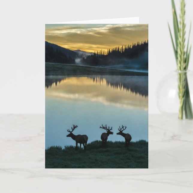 Bull Elks Silhouetted Poudre Lake Sunrise Card (Front)