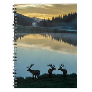 Bull Elks Silhouetted Poudre Lake Sunrise Notebook