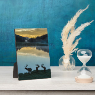 Bull Elks Silhouetted Poudre Lake Sunrise Plaque