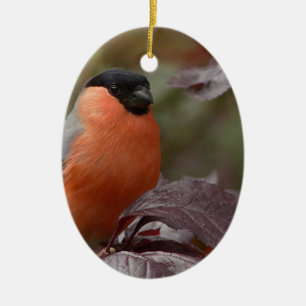 Bull Finch Ceramic Tree Decoration