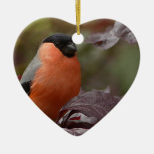 Bull Finch Ceramic Tree Decoration