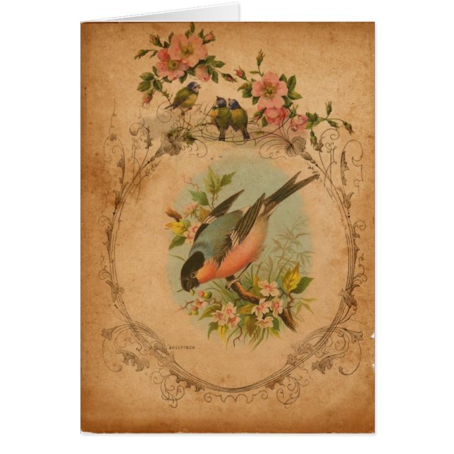Bull Finch Digital Art All Occasions Greeting Card (Front)