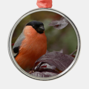 Bull Finch Metal Tree Decoration