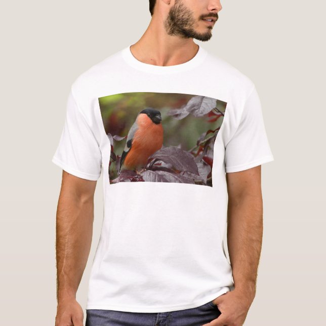 Bull Finch T-Shirt (Front)