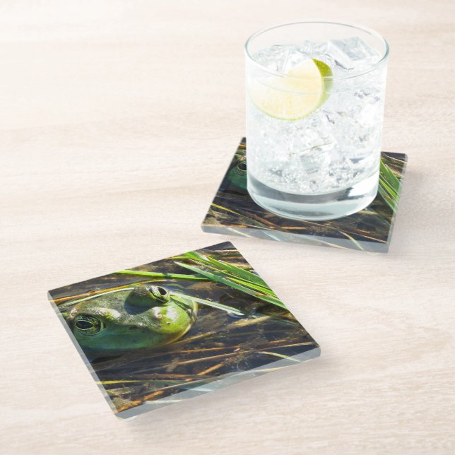 Bull Frog Glass Coaster (Angled)