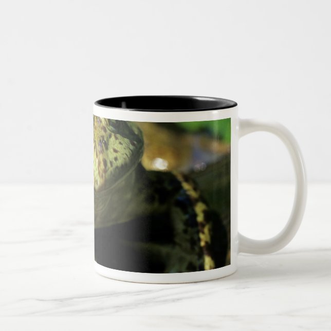 Bull frog. Two-Tone coffee mug (Right)