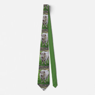 Bull in field tie