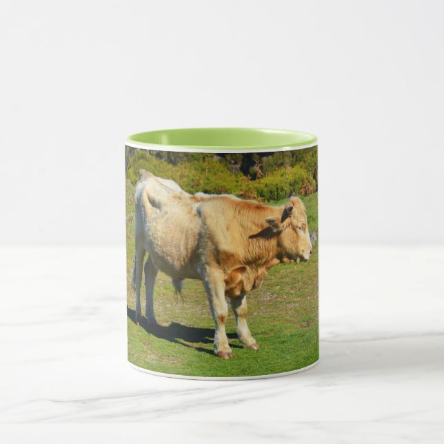 Bull in Madeira Mug (Center)