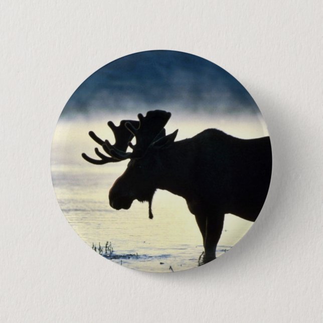 Bull moose 6 cm round badge (Front)