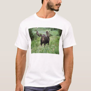 Bull moose Alces alces) in wildflowers, T-Shirt